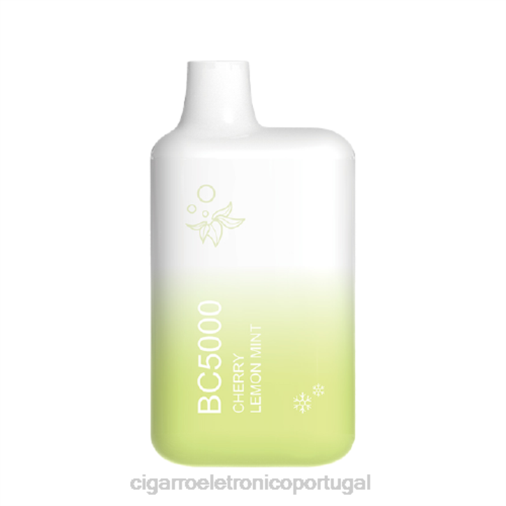 atacado vaporizador RB64302 hortelã-limão ELFBAR BC5000
