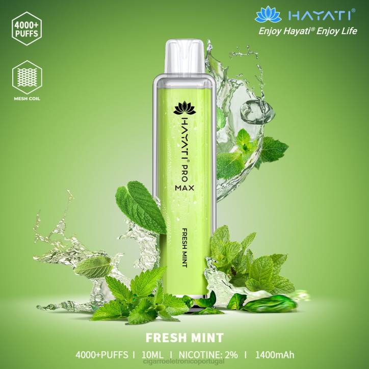 menta fresca