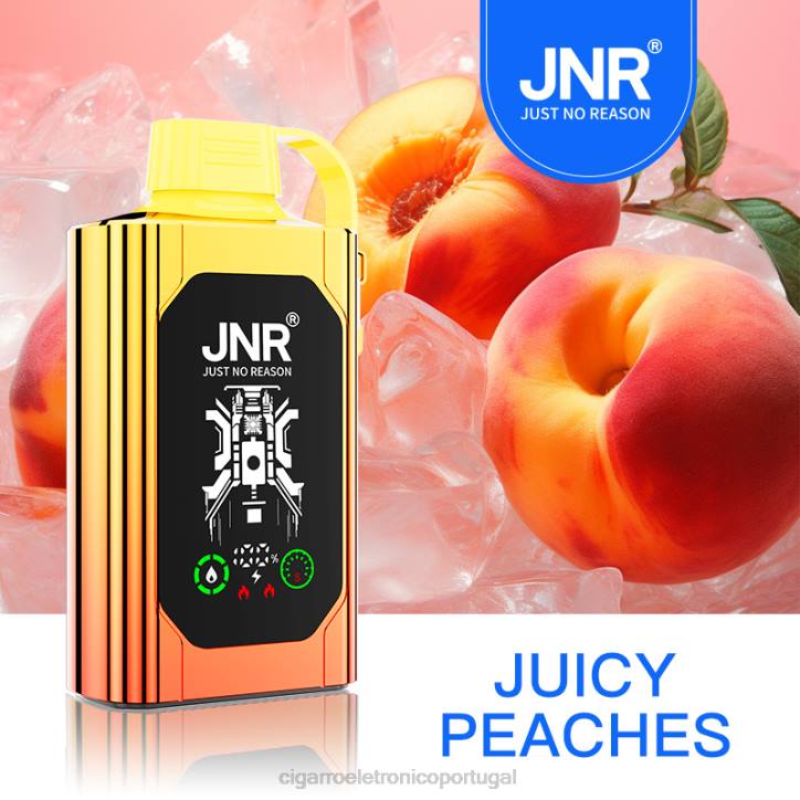 atacado vaporizador RB64622 pecegos suculentos JNR SHISHA BOX