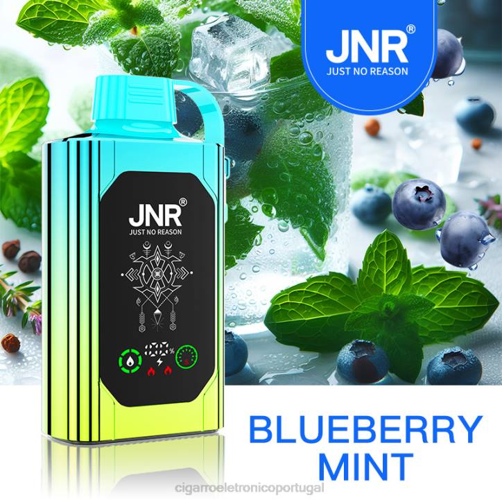 cigarro eletrônico vape RB64618 hortelã de mirtilo JNR SHISHA BOX