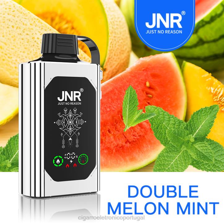 vaporizador de ervas atacado RB64621 melão duplo menta JNR SHISHA BOX