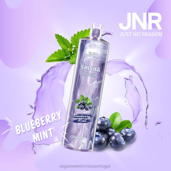 atacado vaporizador RB64672 hortelã de mirtilo JNR SHISHA