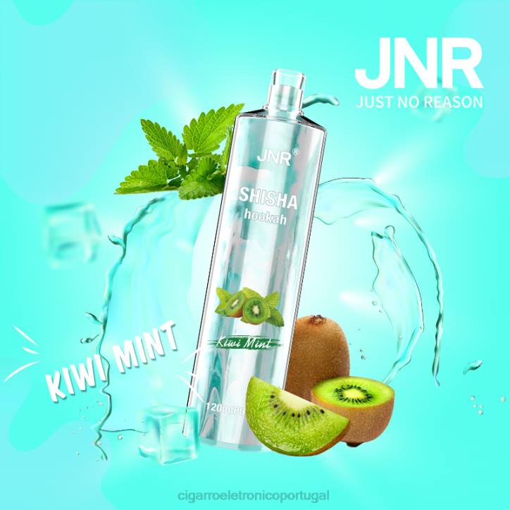 kiwi hortelã