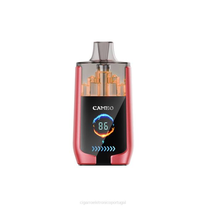 Cigarro Eletrónico Portugal - gelo de melancia LAVIE CAMEO 30.000 baforadas DDN014