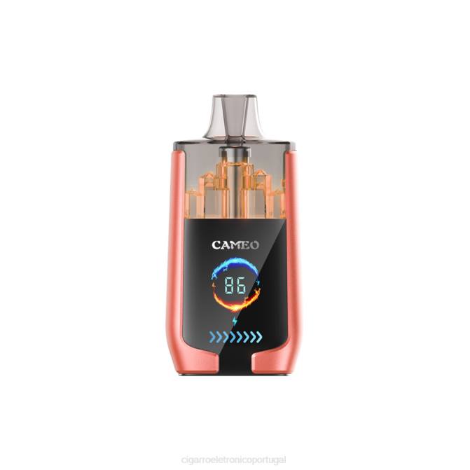 Cigarro Eletrónico Preço Portugal - melancia morango LAVIE CAMEO 30.000 baforadas DDN024