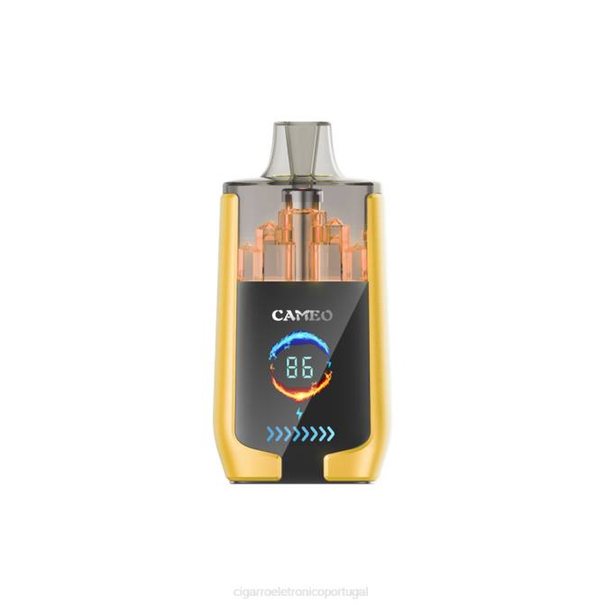 Cigarro Eletronico Atacado - gelo de manga LAVIE CAMEO 30.000 baforadas DDN021