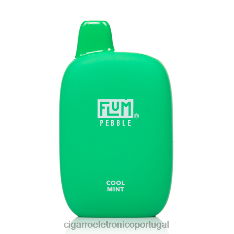 Importação Cigarro Eletrónico Portugal - FLUM PEBBLES 6.000 baforadas menta fresca V6VXN26